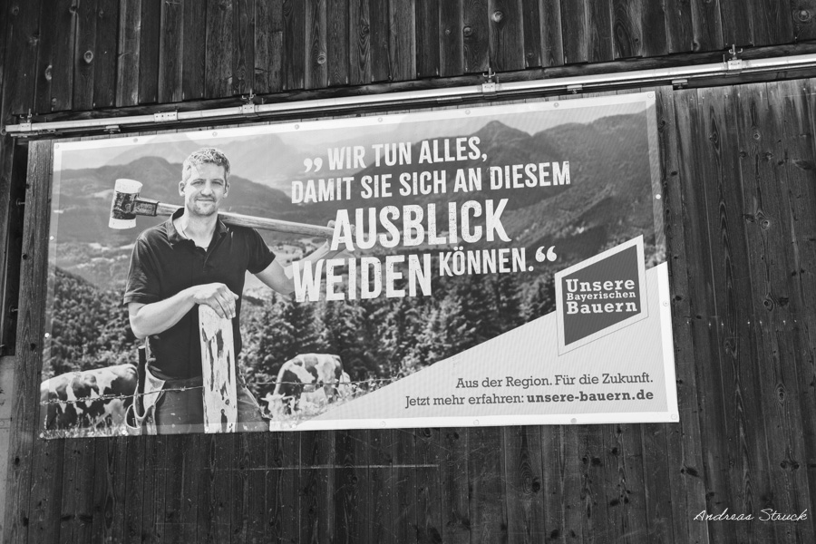 Im Vordergrund ein Stacheldraht